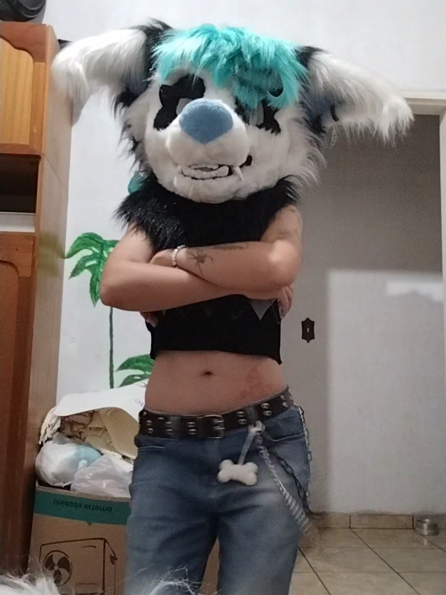 @𐂯✮⋆𝙷𝚞𝚙𝚘𝚕˙𓃡₊˚⊹🐾