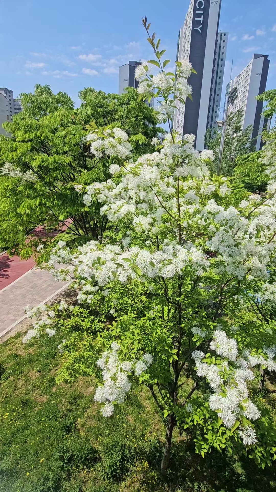@❤心灵漫游⚘️마음힐링