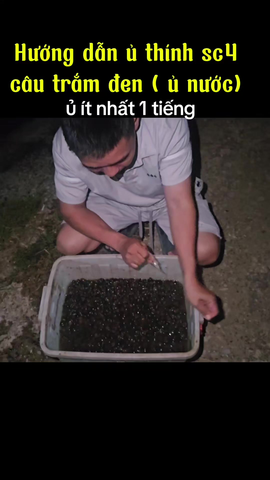 @Dũng Nguyễn Fishing