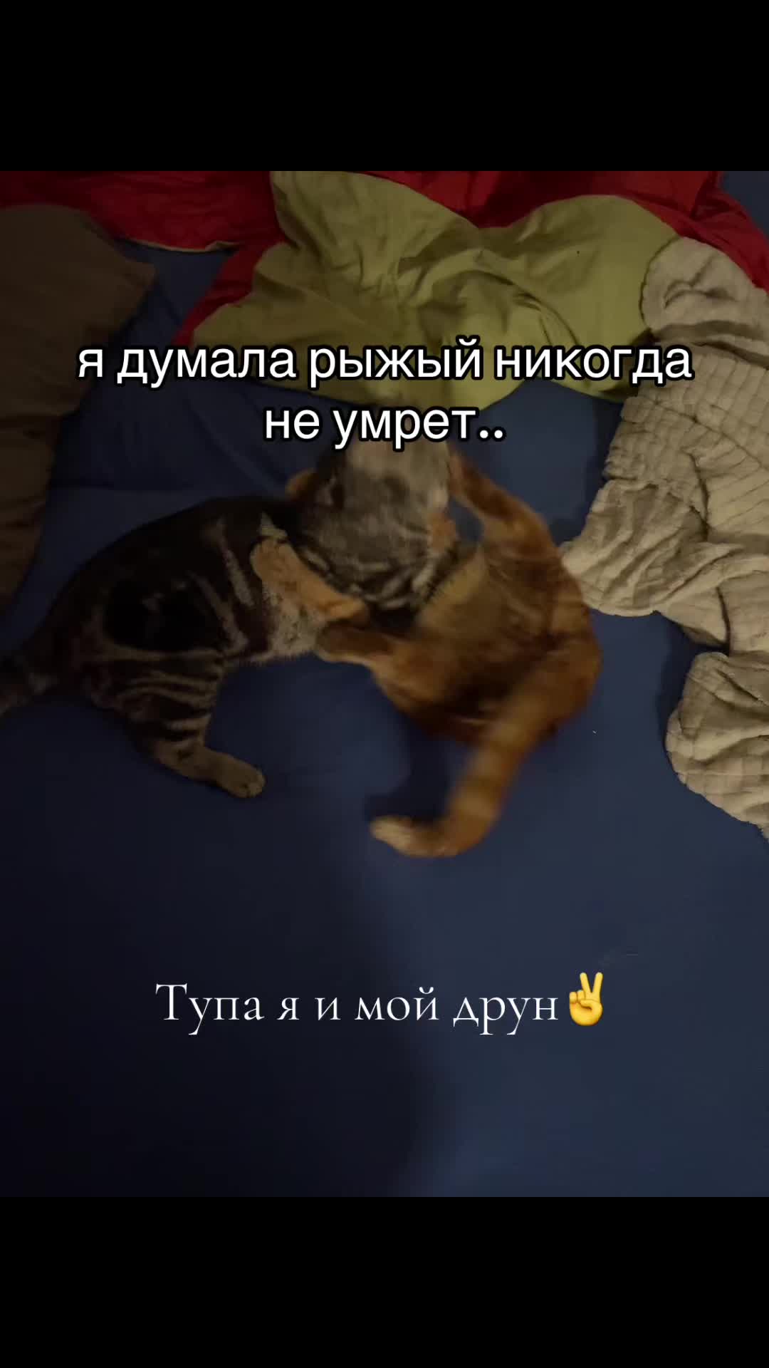 @Милова⚜️
