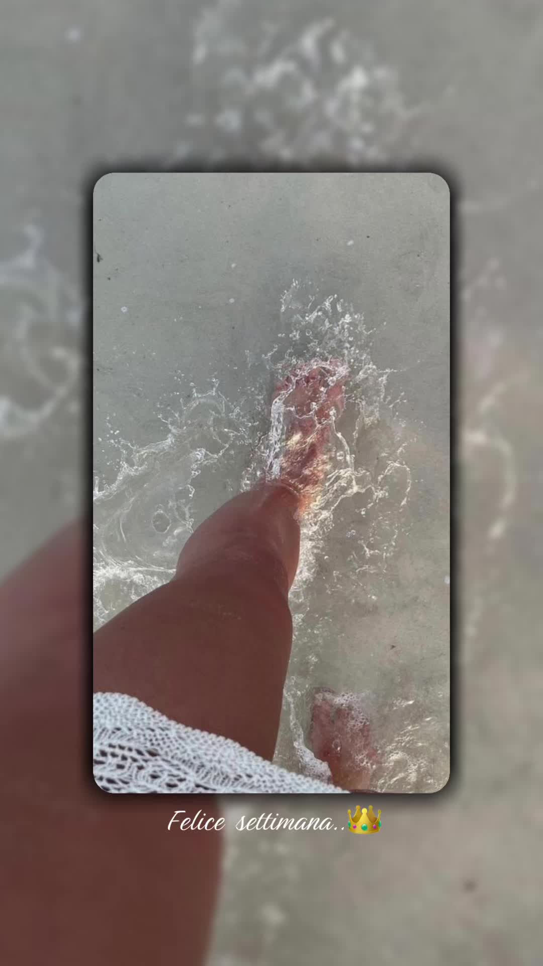 @elisabettabonini6