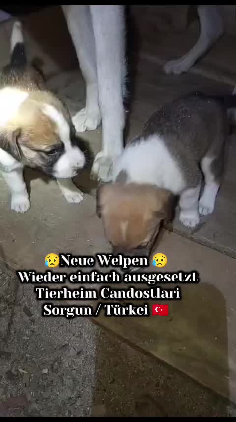 @TSV Candostlari-Beste Freunde