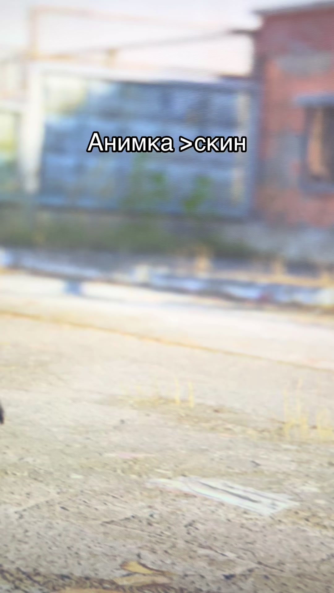 @XII
