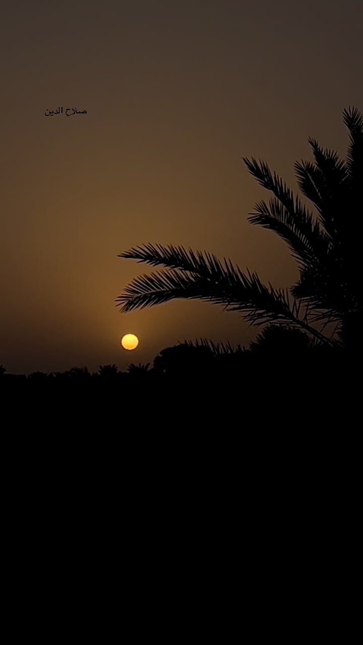 @گمنام ✍️