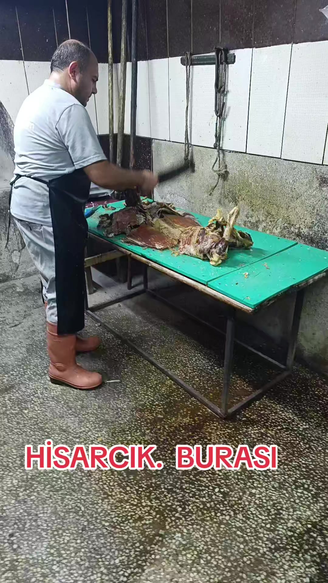 @Mehmet Sarikaş