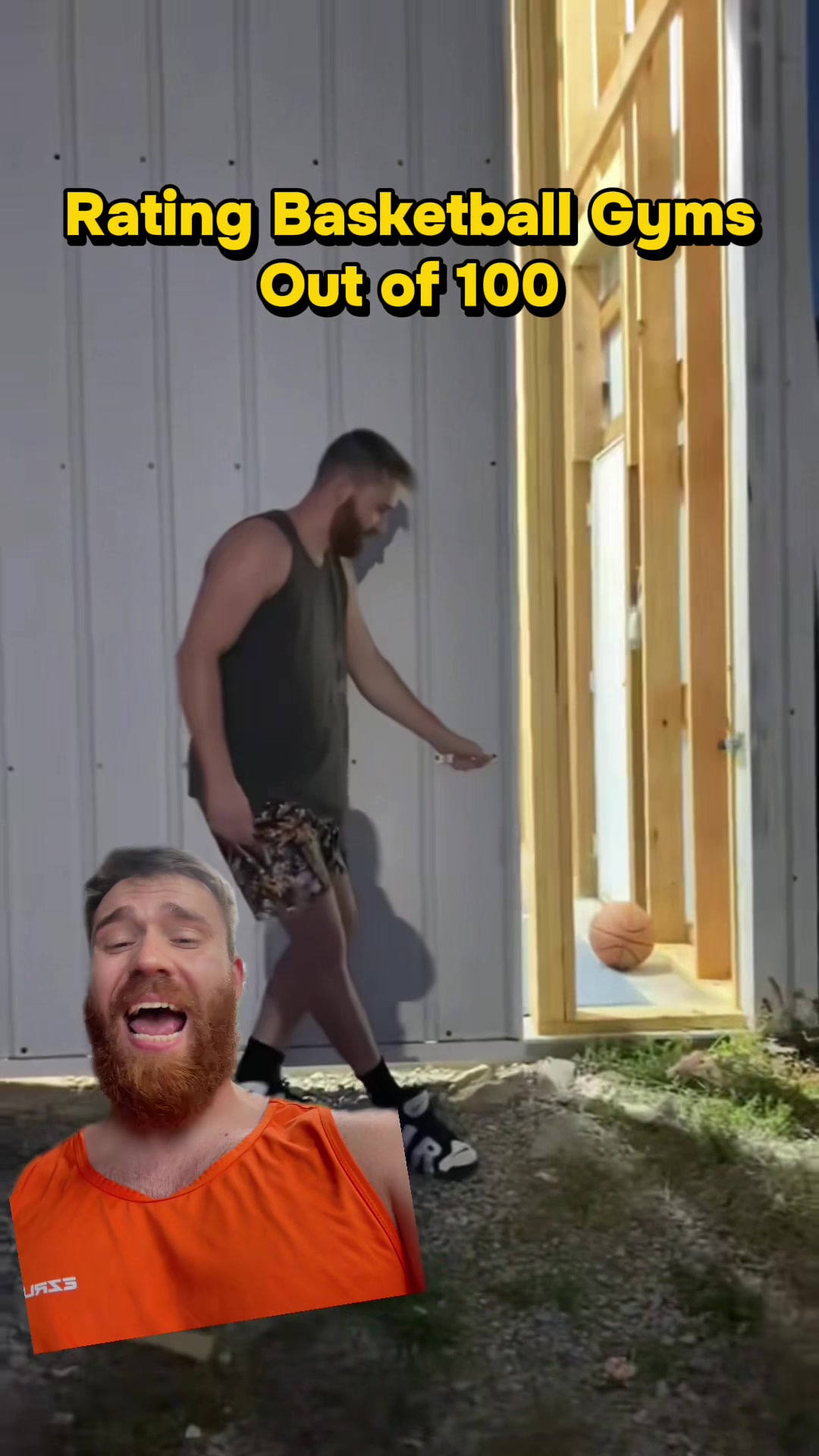 @Mr Bearded Dragon