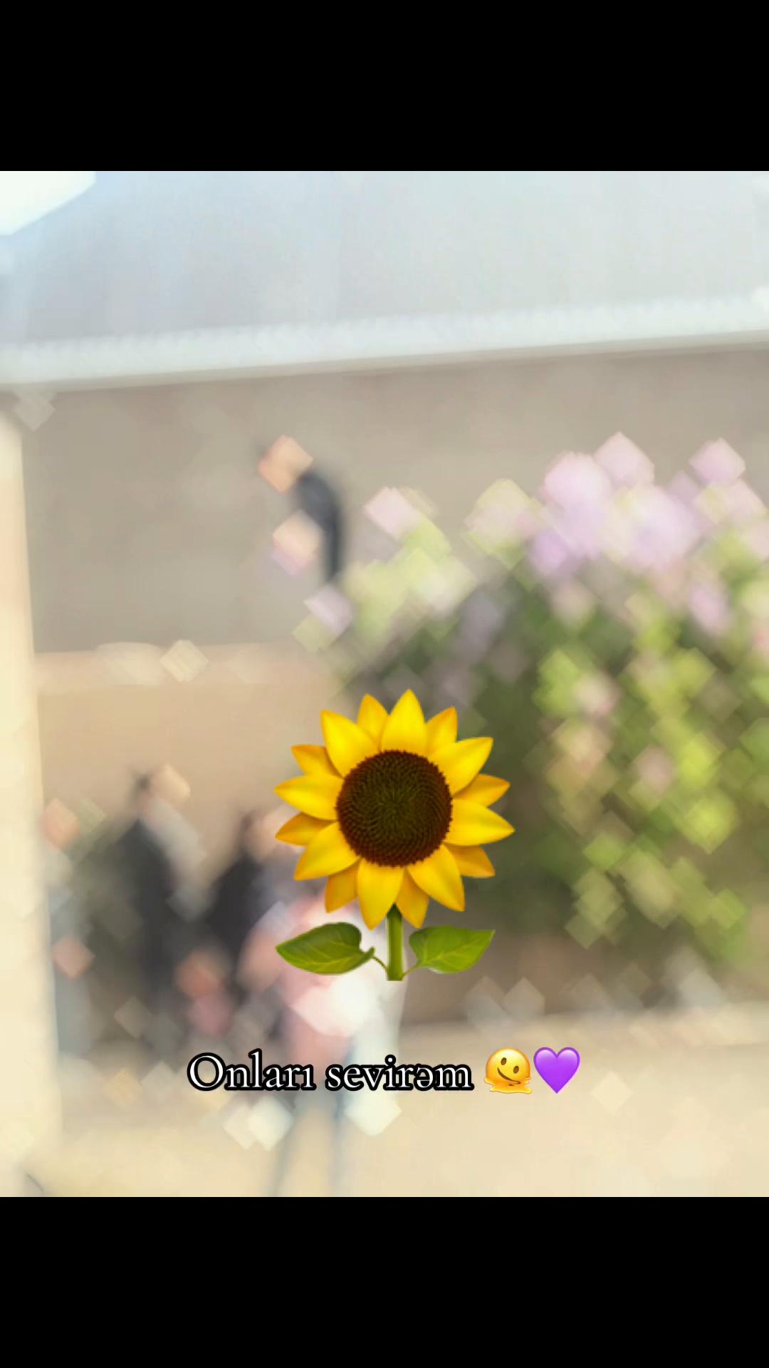 @Zeynəb_informatics