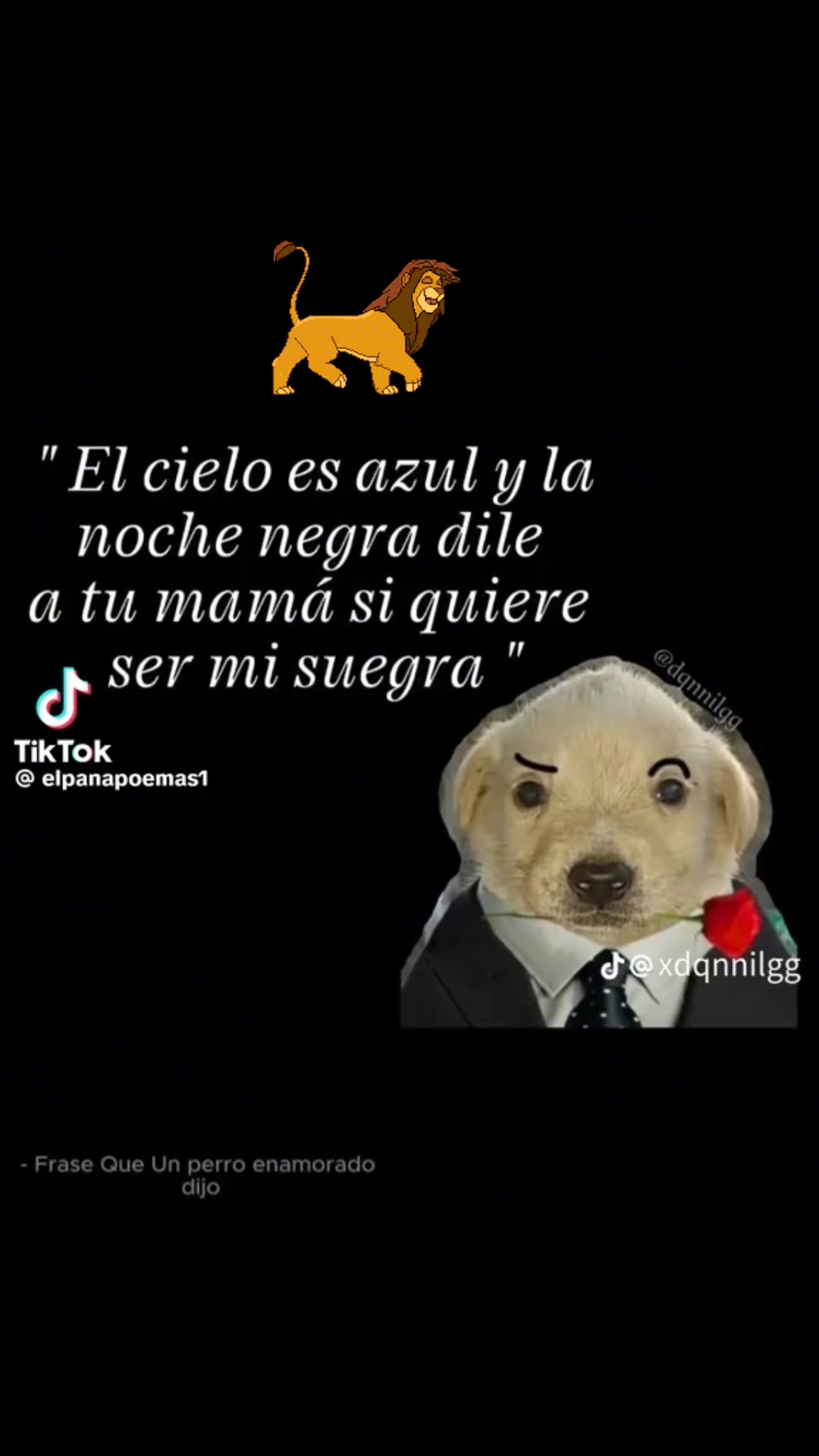 @Alexis🥷€_2/2