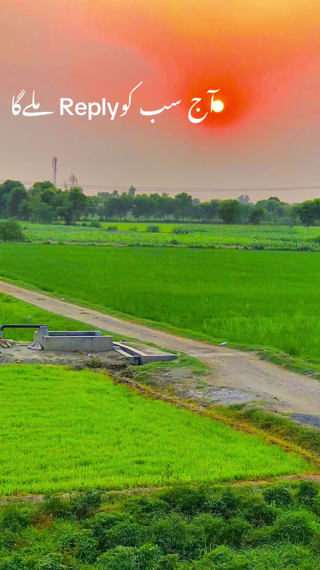 @پنجابی لڑکی🍃🌱💯