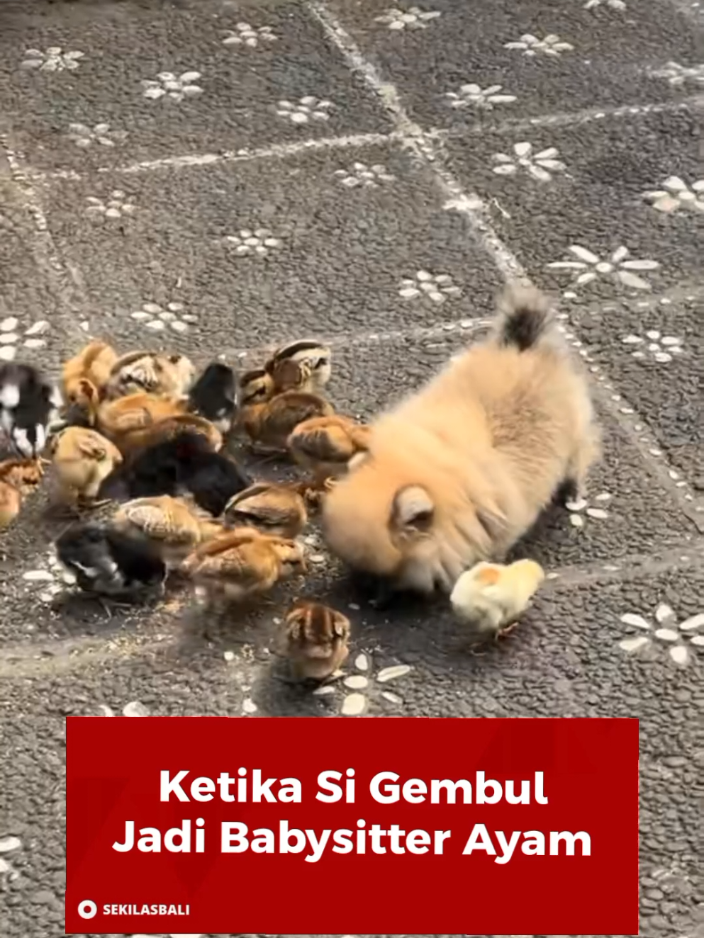 @Sekilas Bali