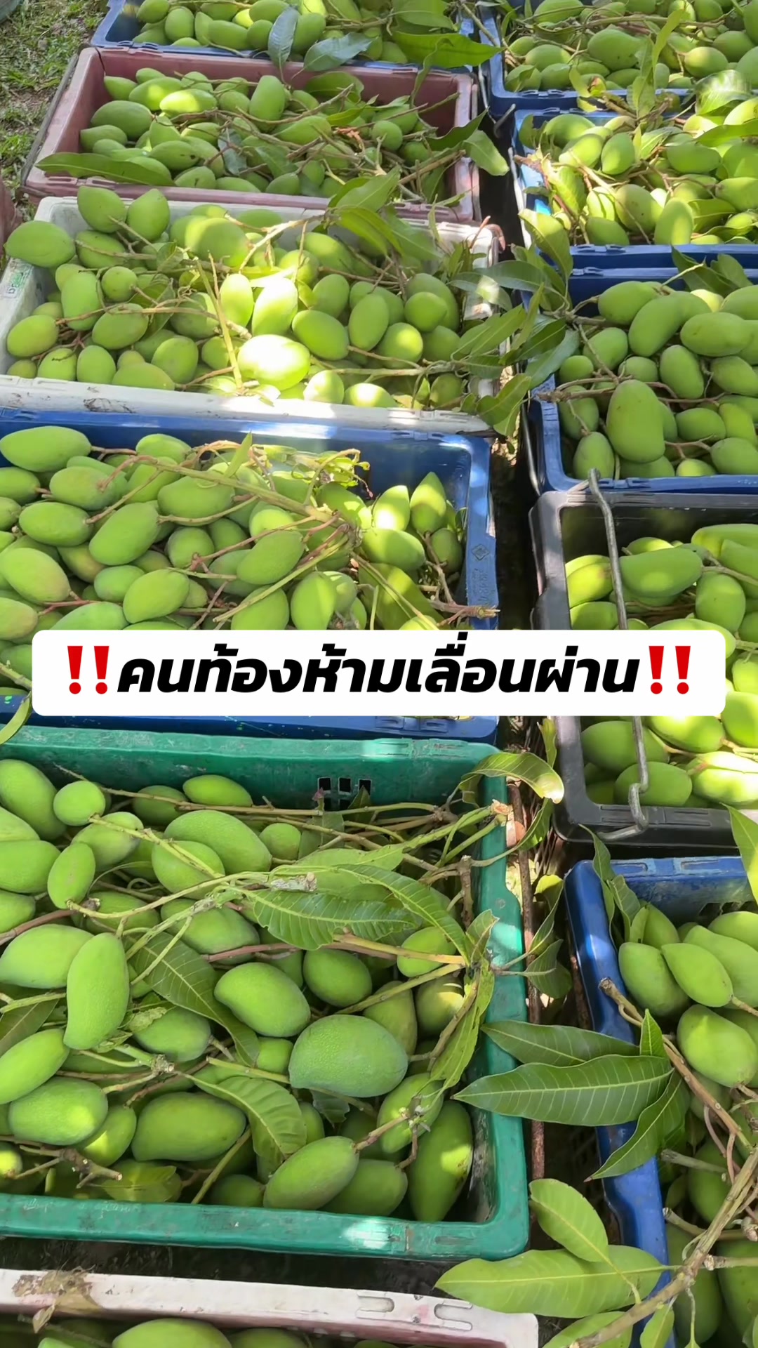 @อาหารตากแห้ง