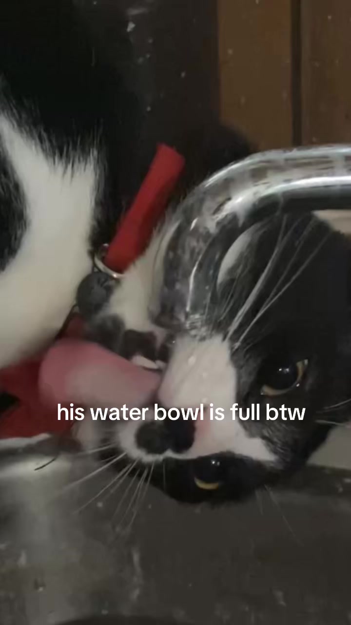 @ray 🍚