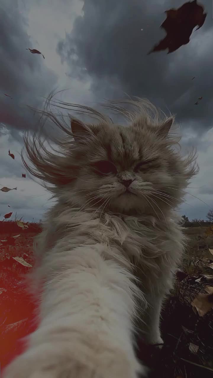 @༄𝐒𝐇𝐄𝐑𝐍𝐈ღ