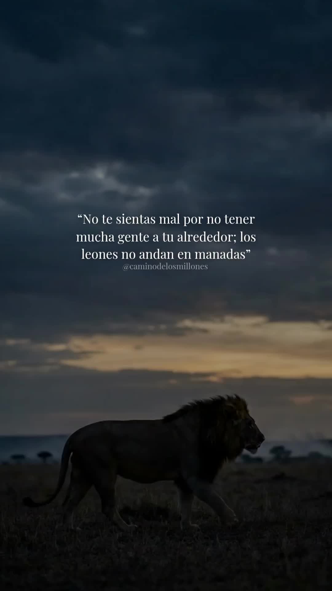 @caminodelosmillones