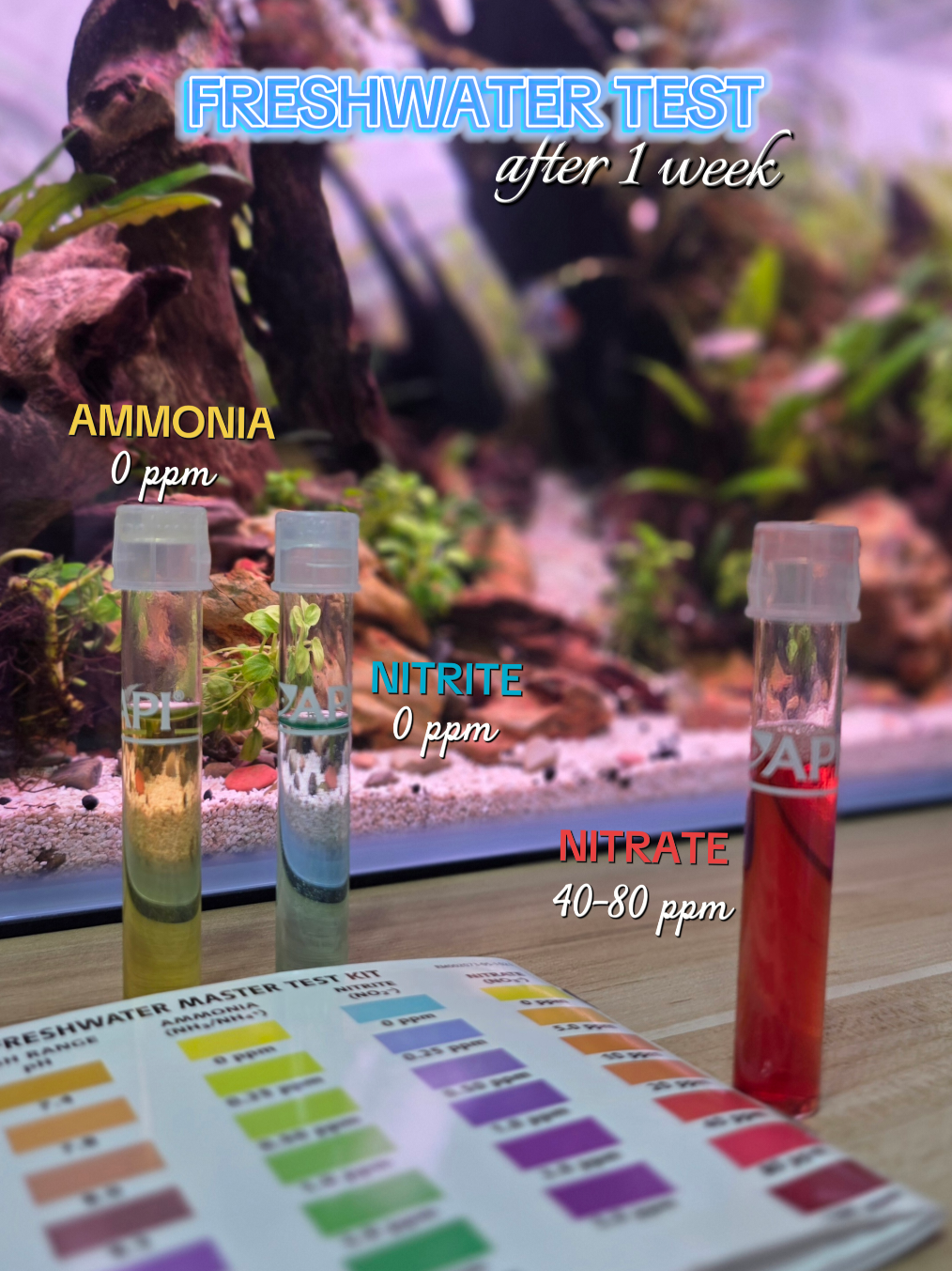 @Ace Aquascape