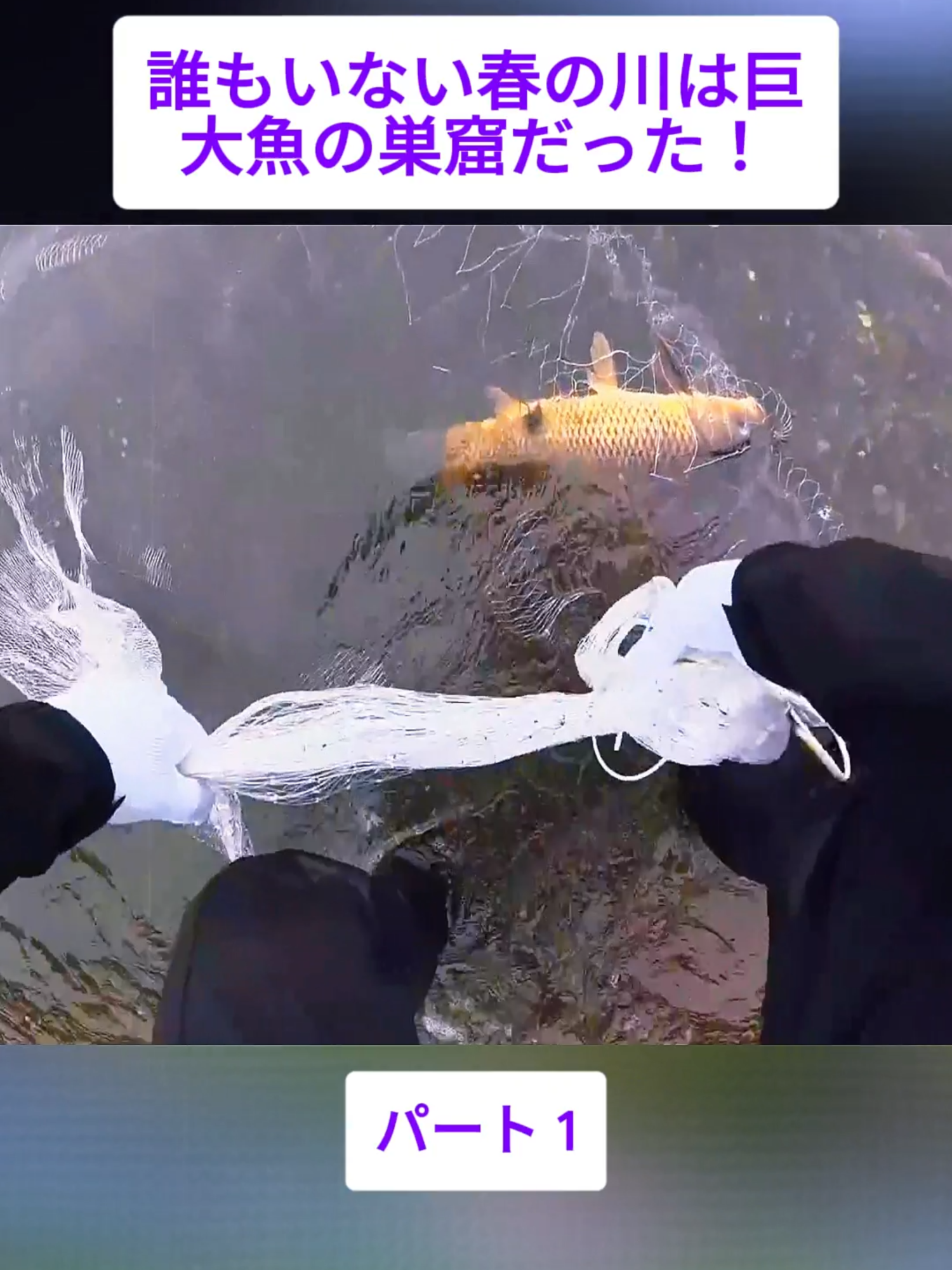 @スキューバダイビングチャンネル