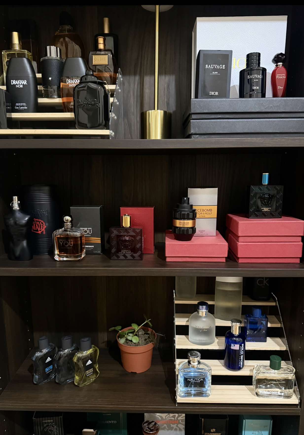 @Tito Scents