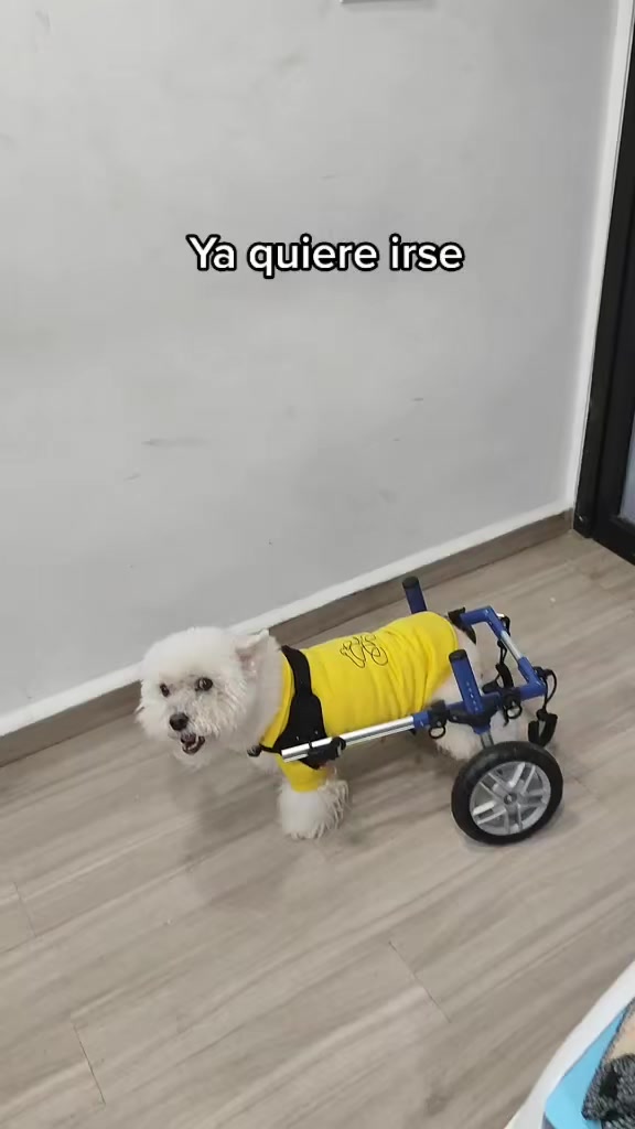 @Christian Gustavo He