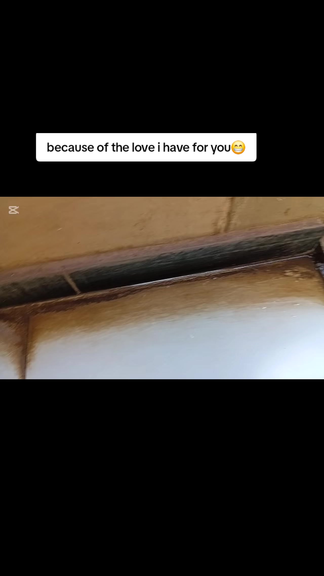 @cleanergirlmervie
