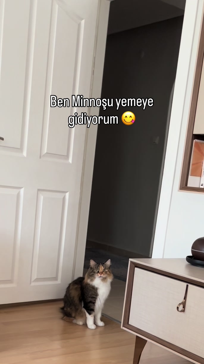 @konusankediminnos