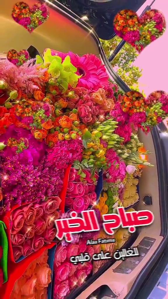@Alaa Fatima