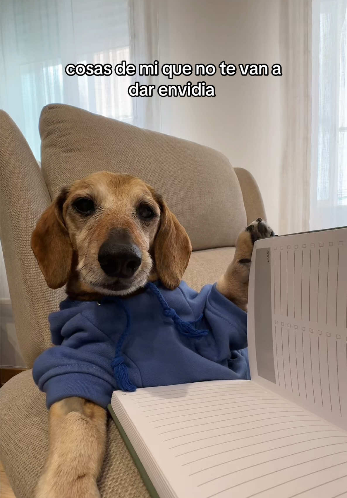 @Lucas The Dog