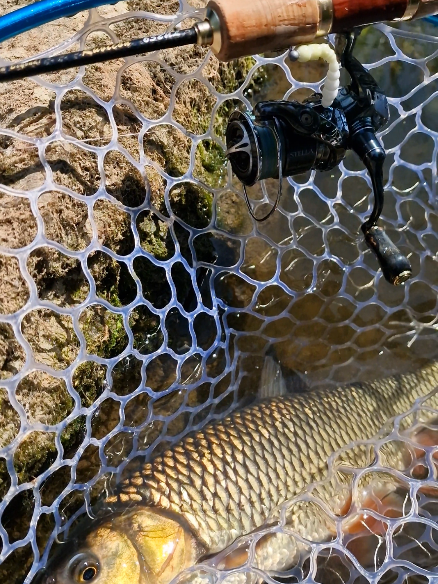 @BF Angler