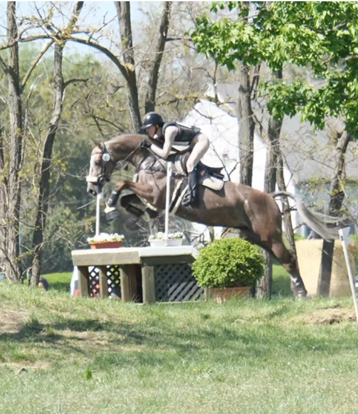 @Leila🦋