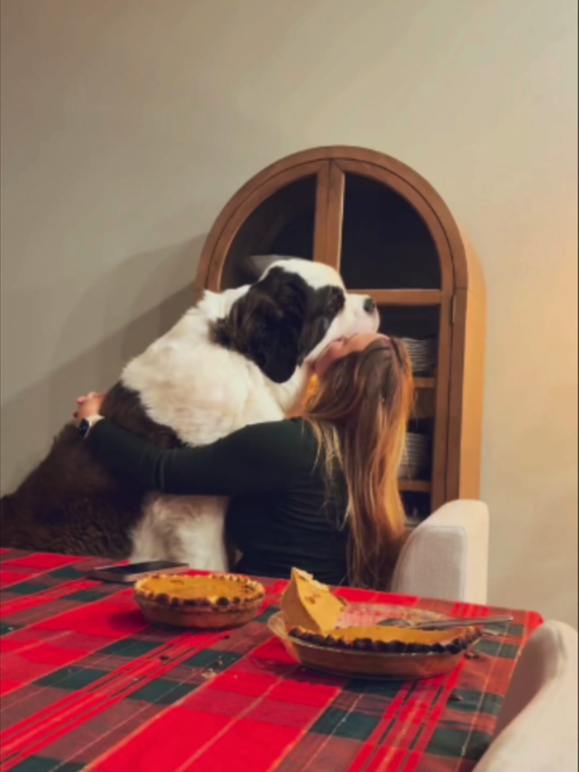 @WoofWoofTV
