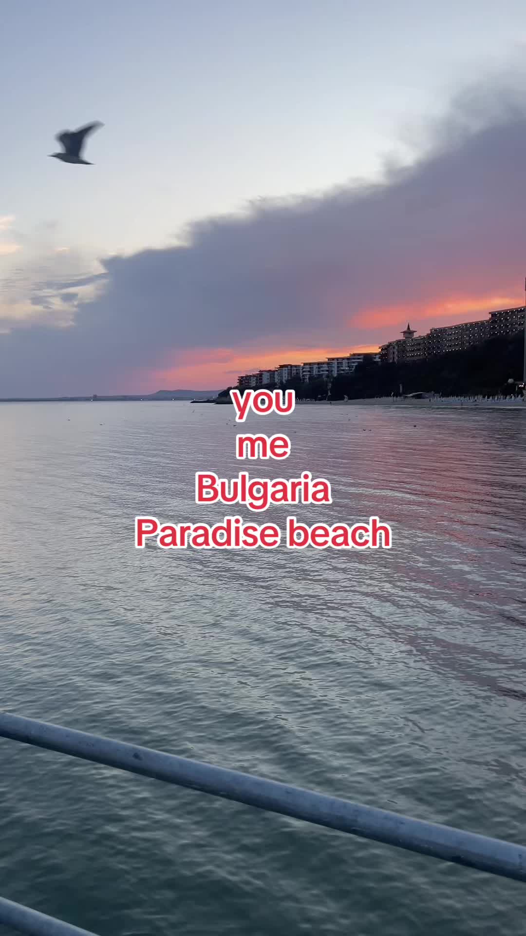 @t_morvis_b
