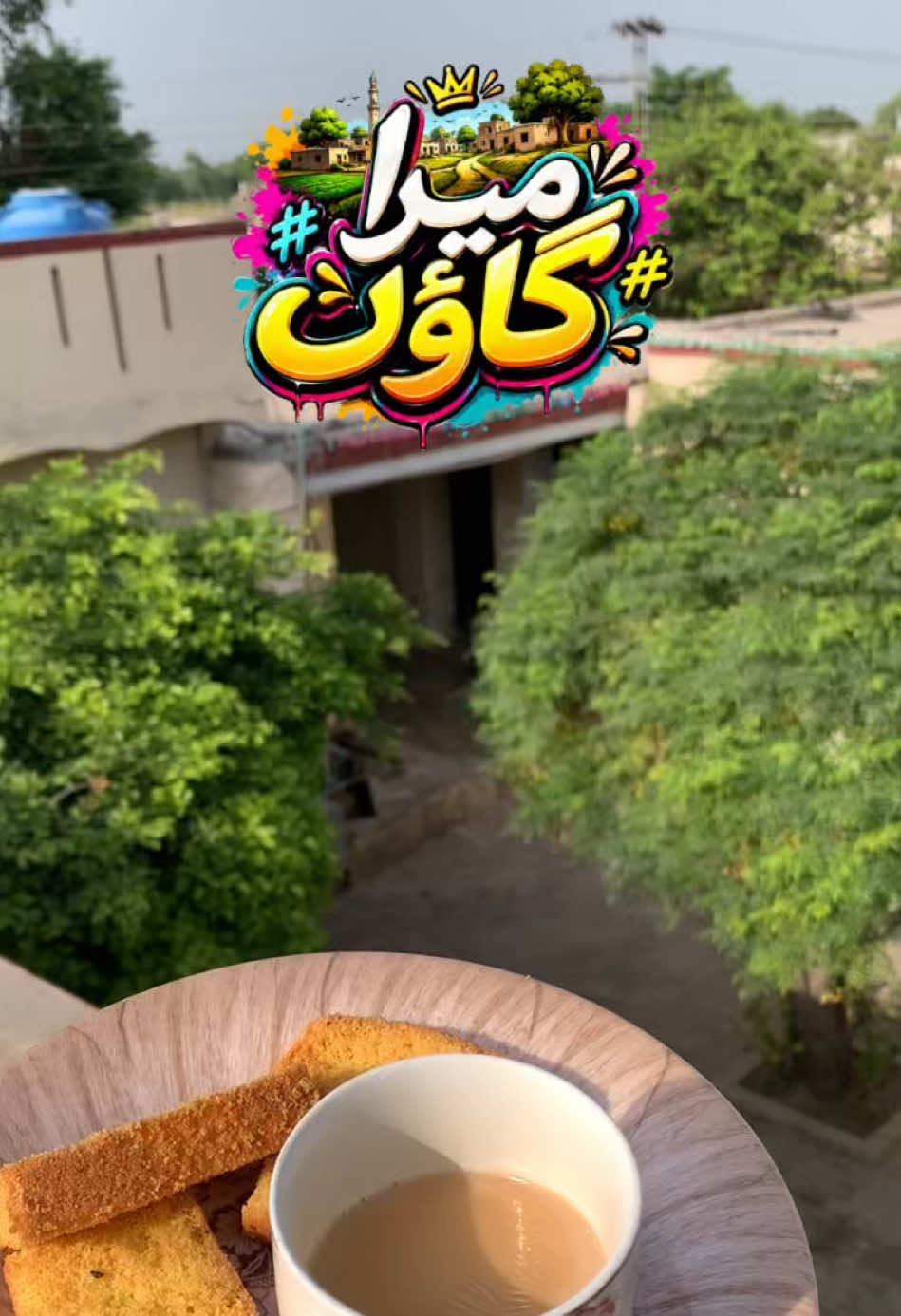 @itxchrashid