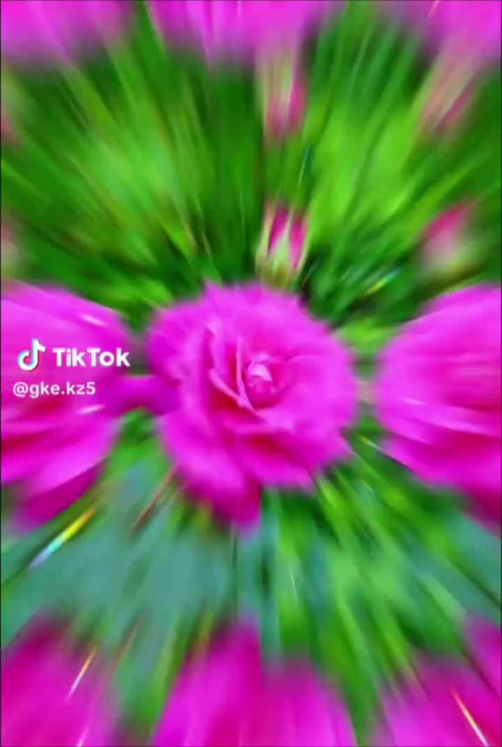 @iboretti 35