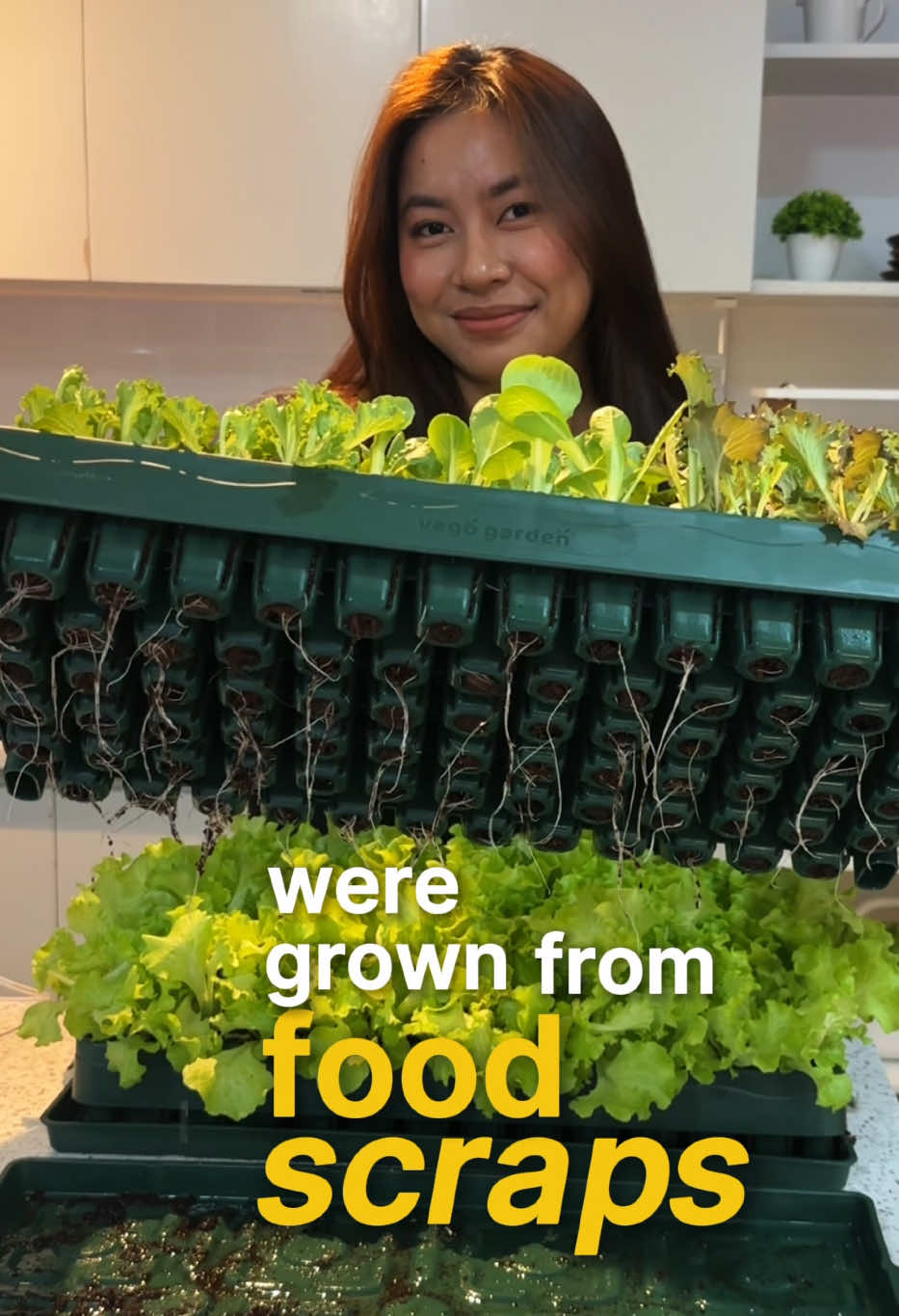@Urban Farmer TV ๐ฉ๐ป๐พ