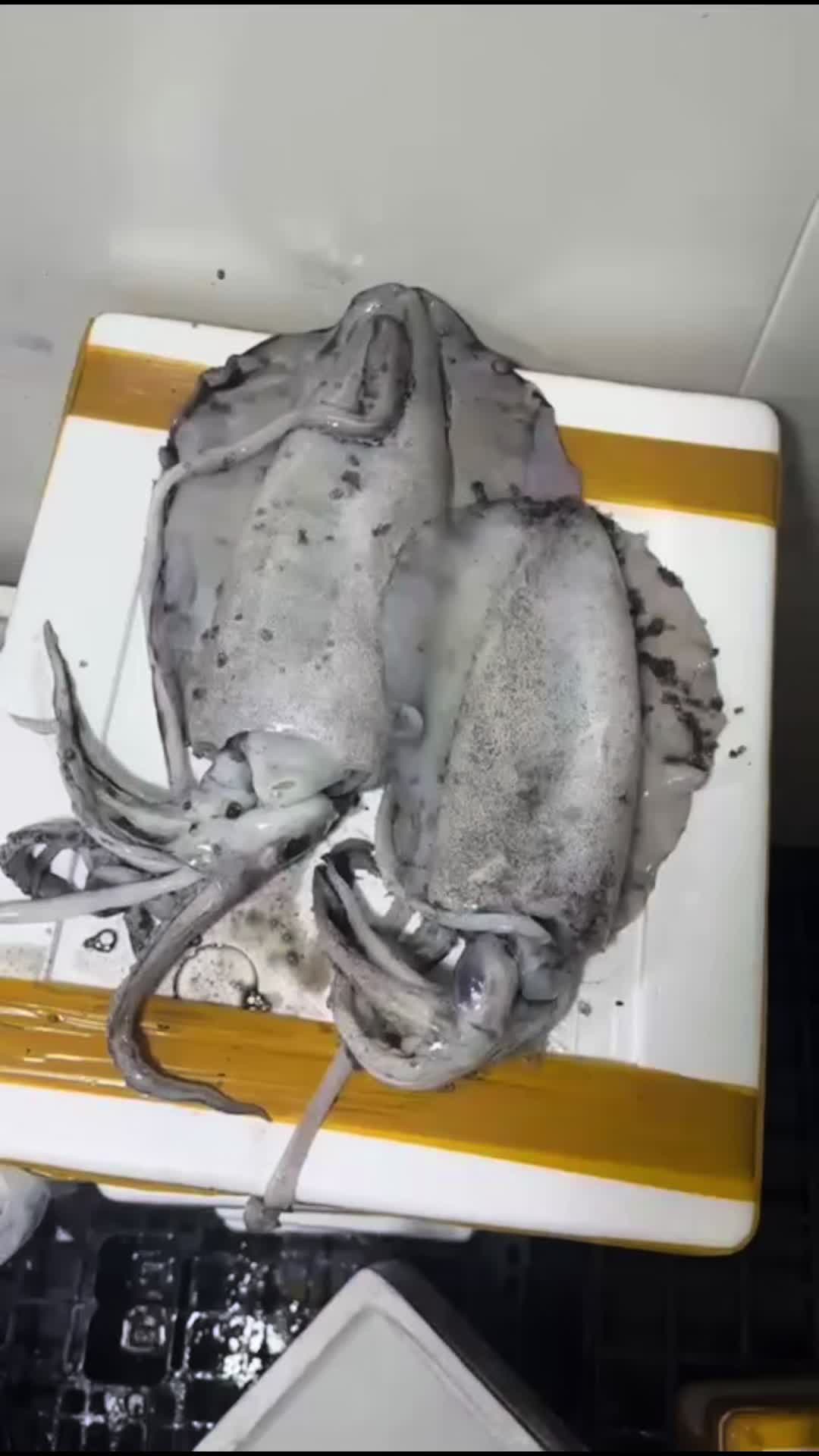 @Fishworld and Halal Meat
