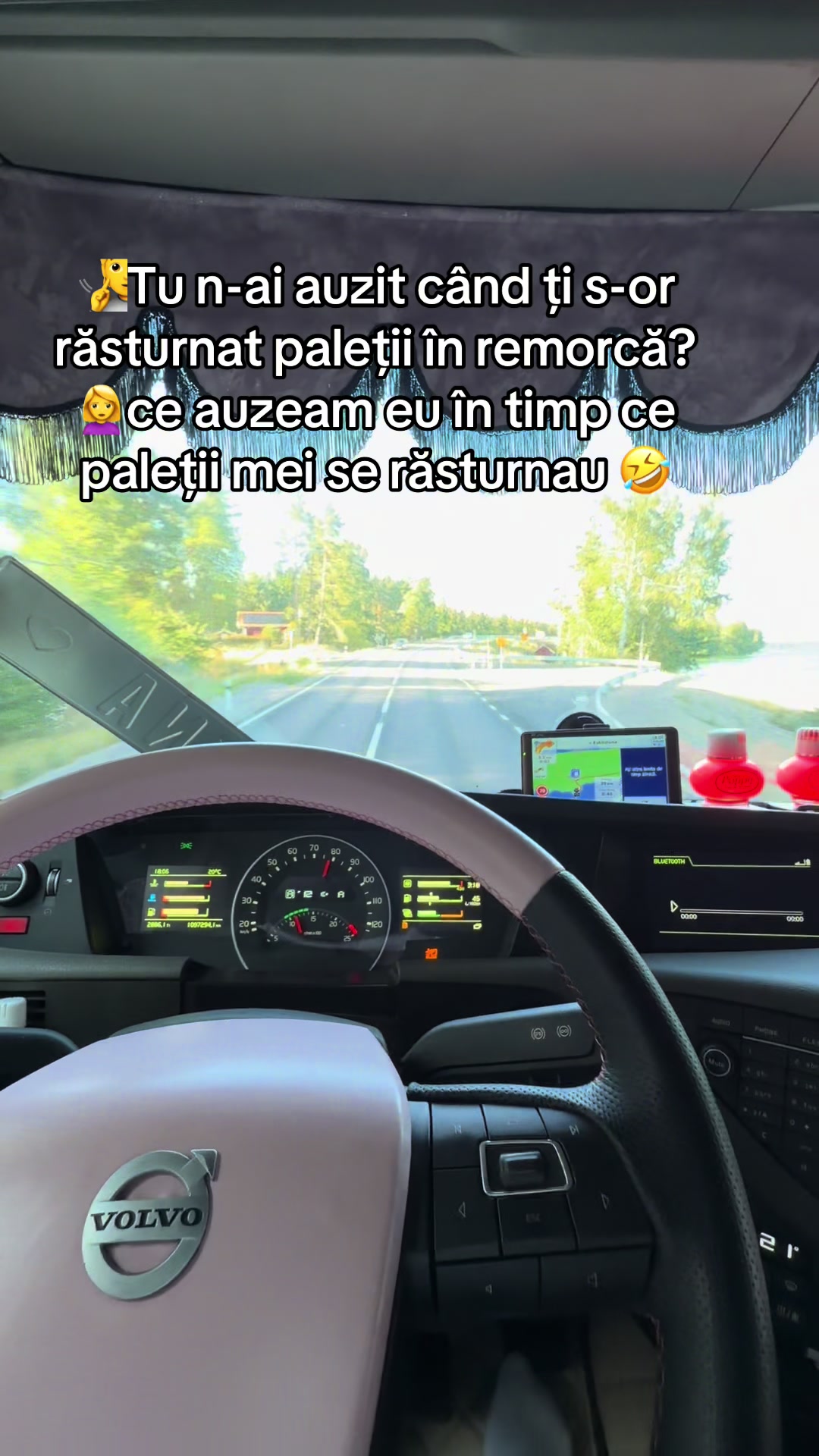 @Crina Simona Cernat 🚛🇷🇴
