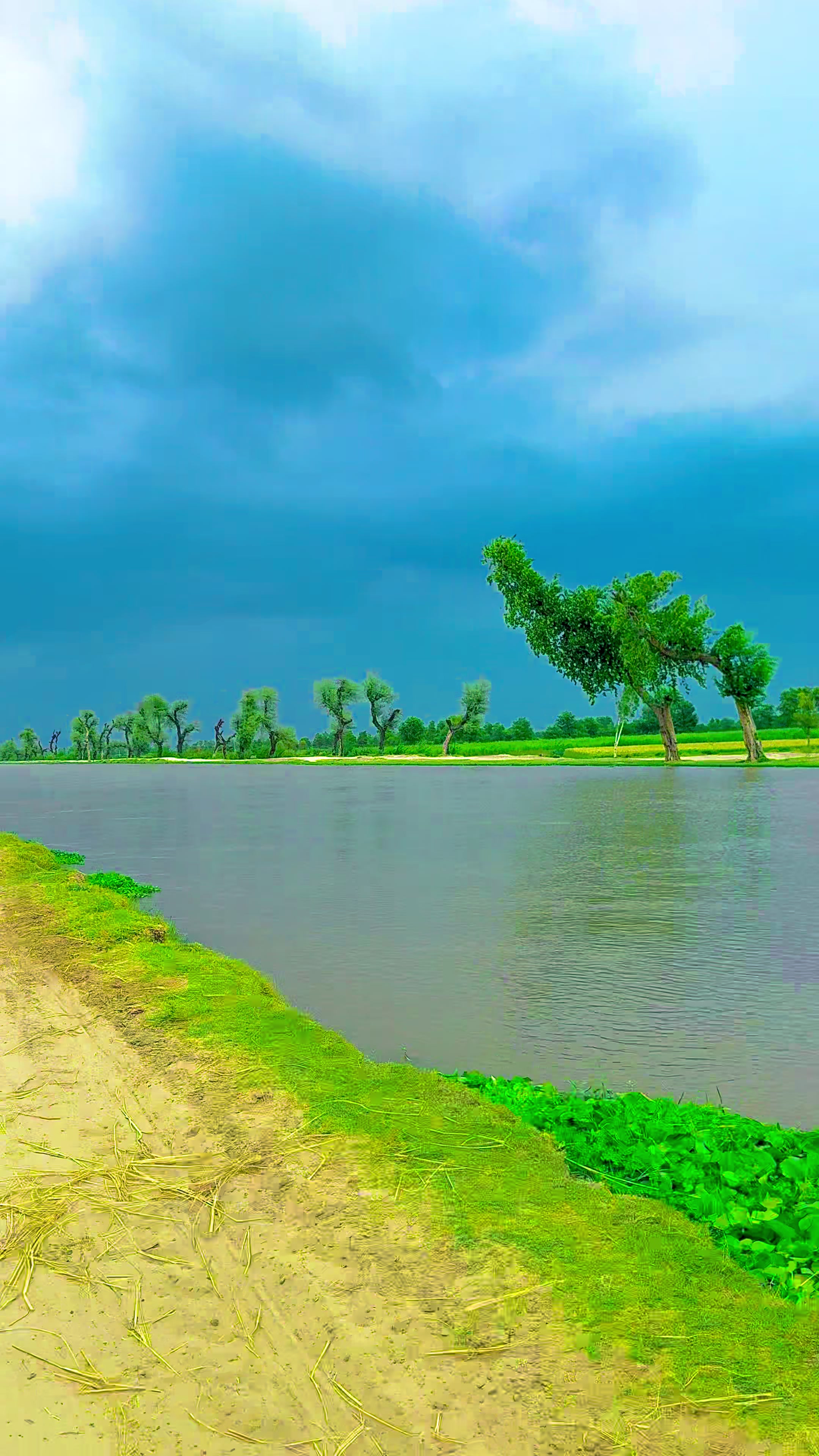 @🌾میں۔ میرا۔ پنڈ🎋
