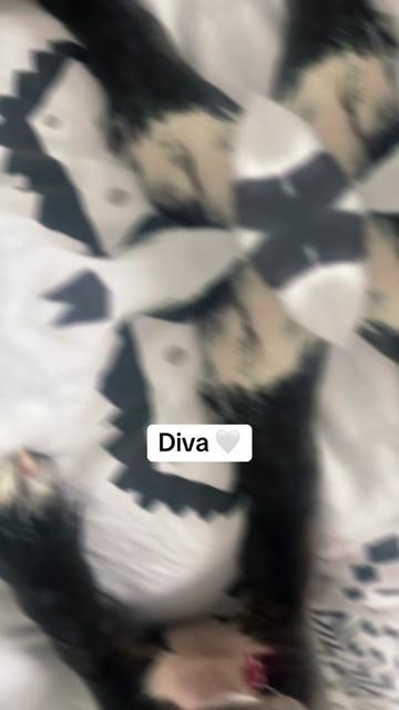 @Joker & Diva