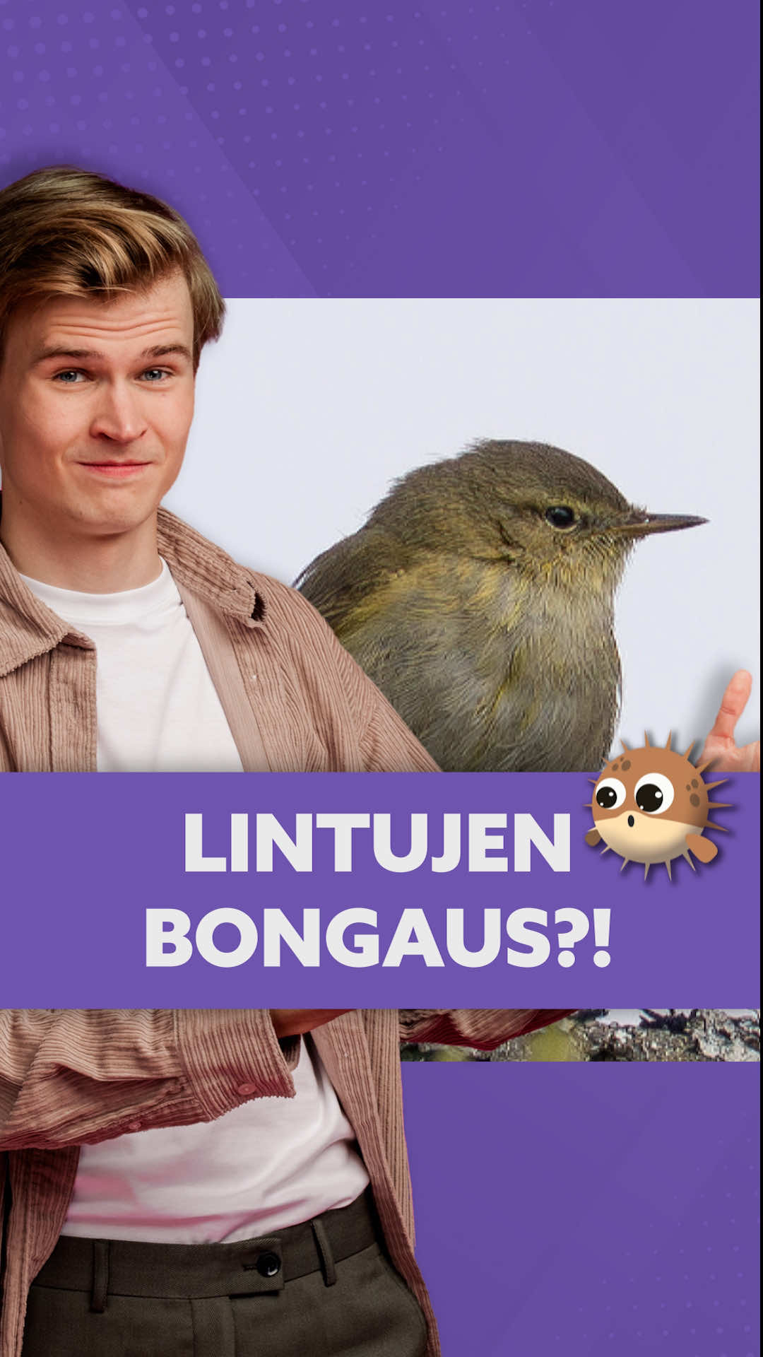@Yle Mix