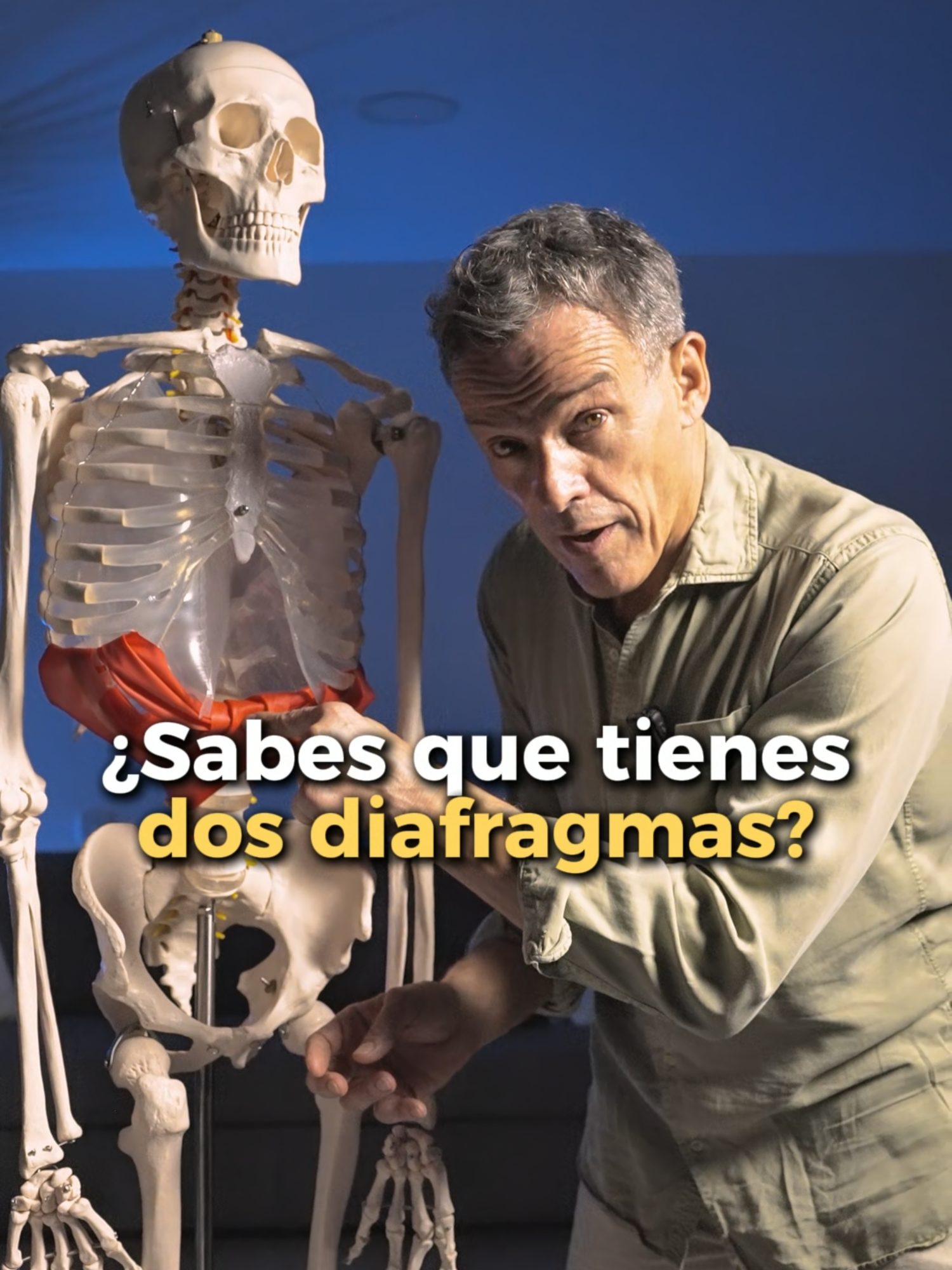 @PITI PINSACH