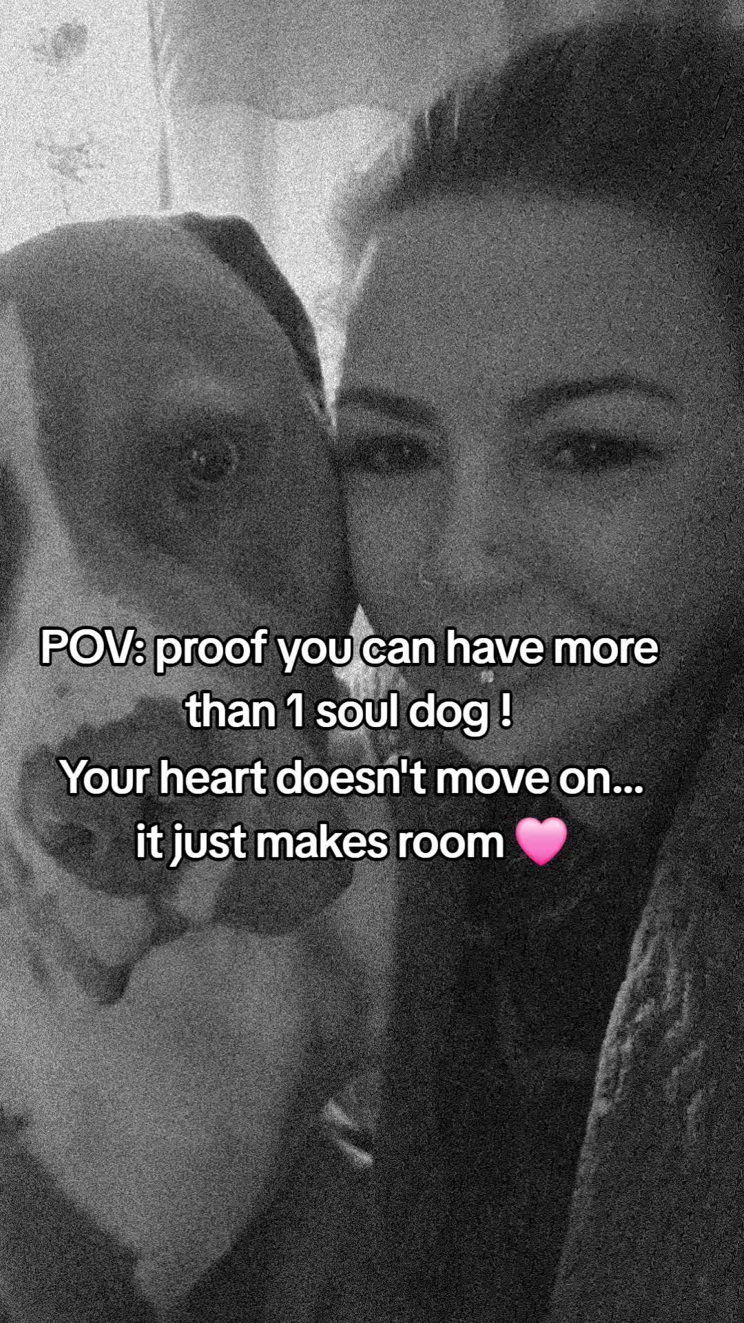 @mybullysandme🐶🇬🇧 (kelly)