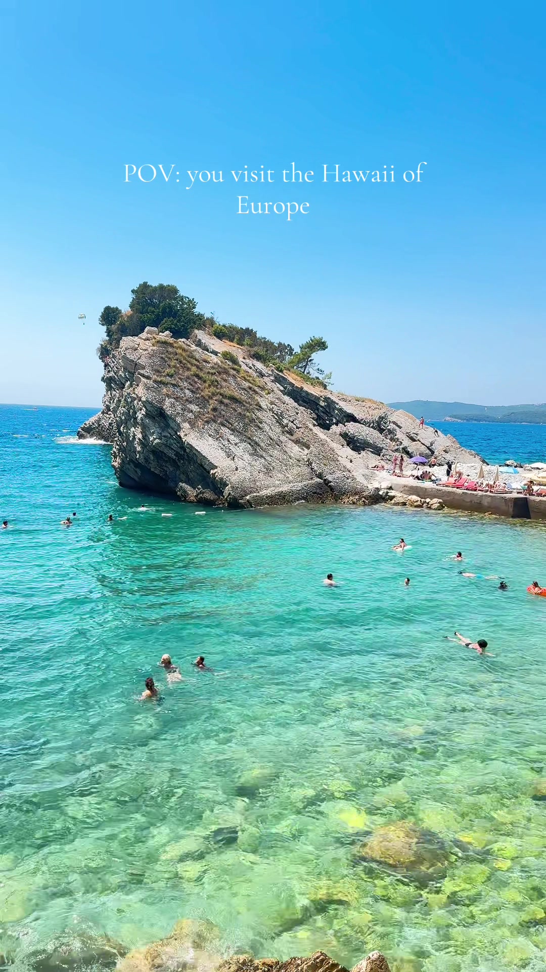 @Katie🏝️🐢🐠🐙