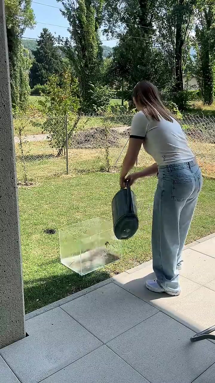 @emscaping