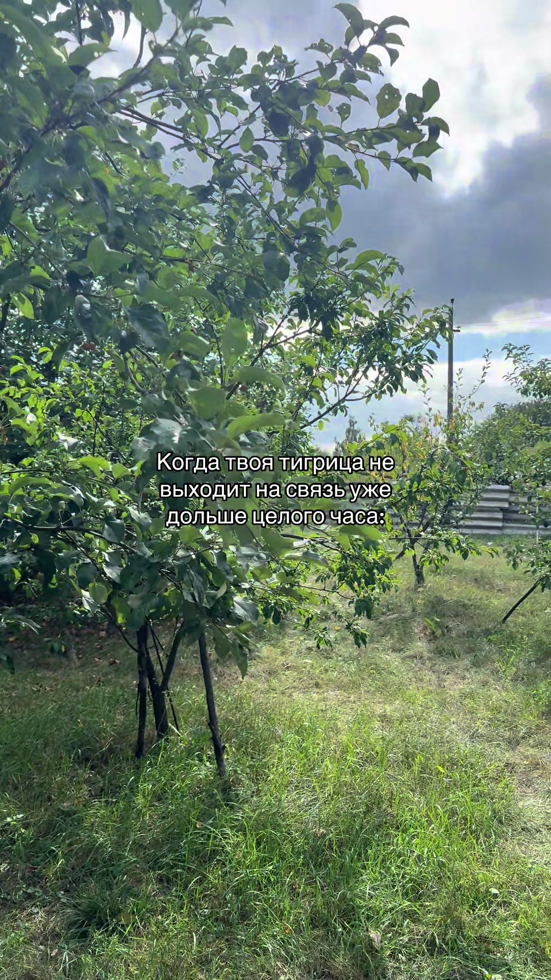 @тгк: rrarthur