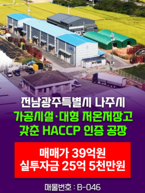 @부동산 전문가 박미란