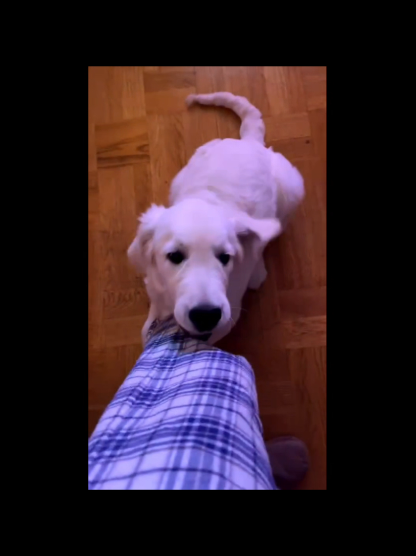 @Isa☆