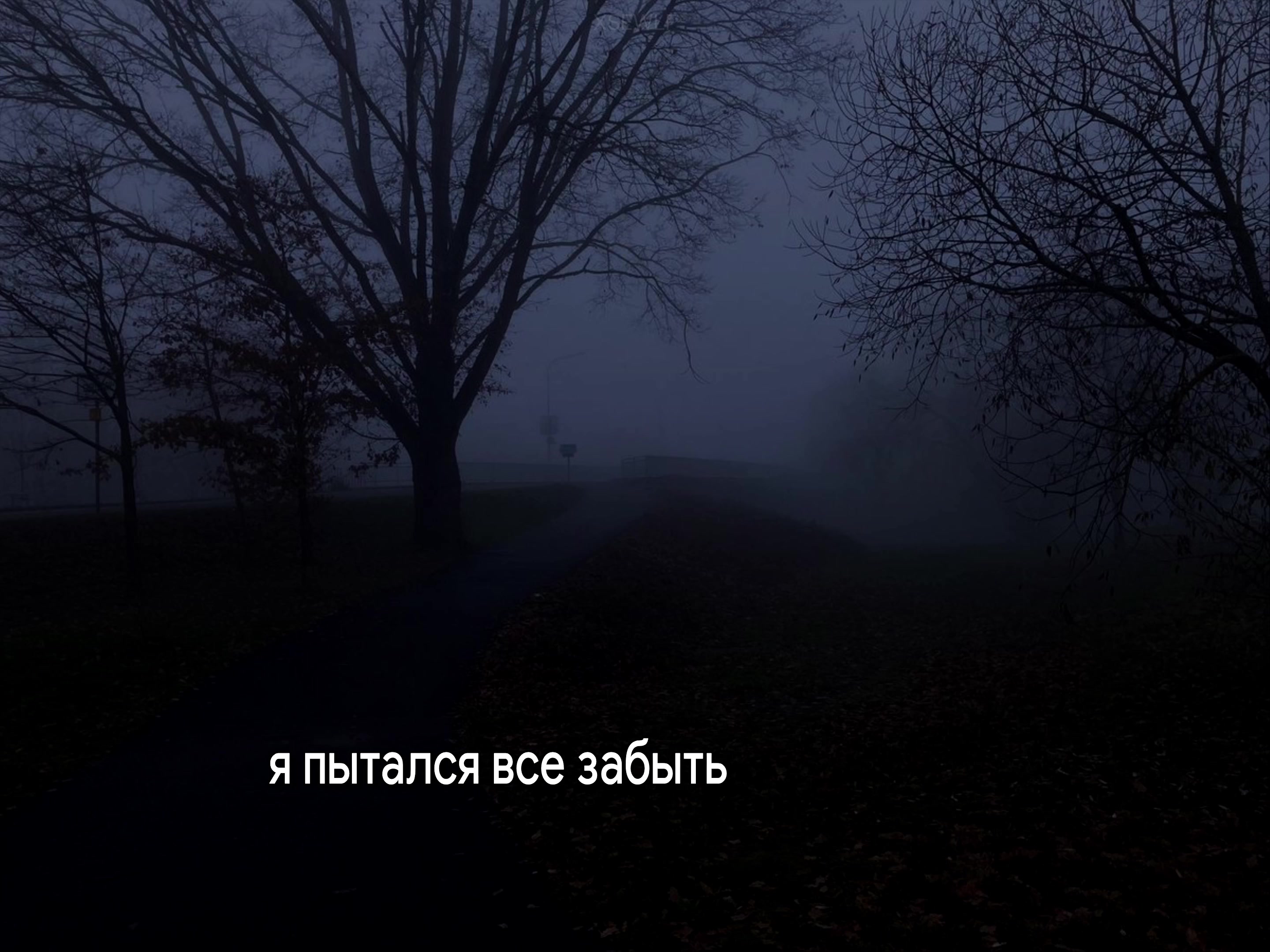 @lyrics.