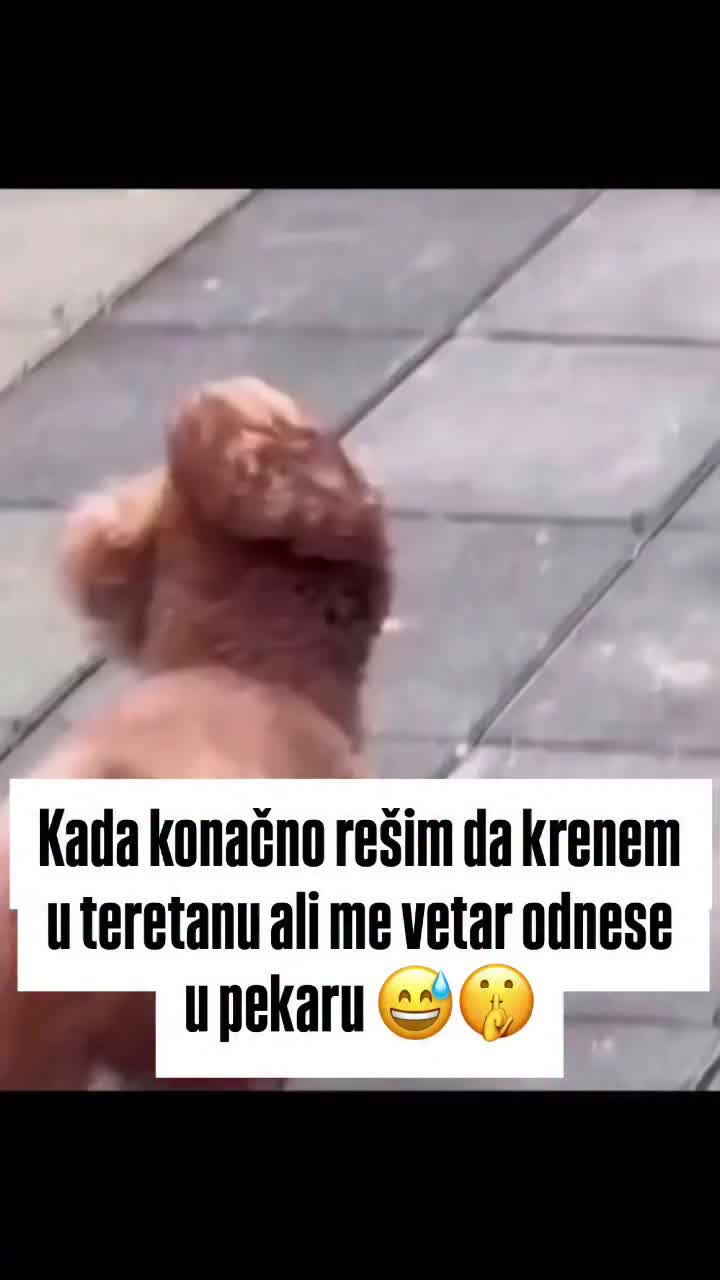 @BalkanZabava