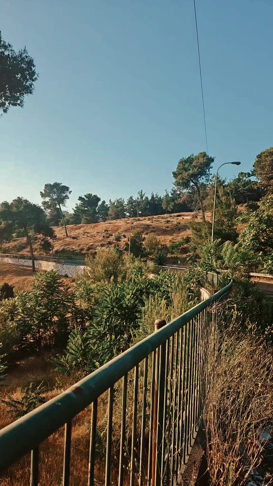 @روبير