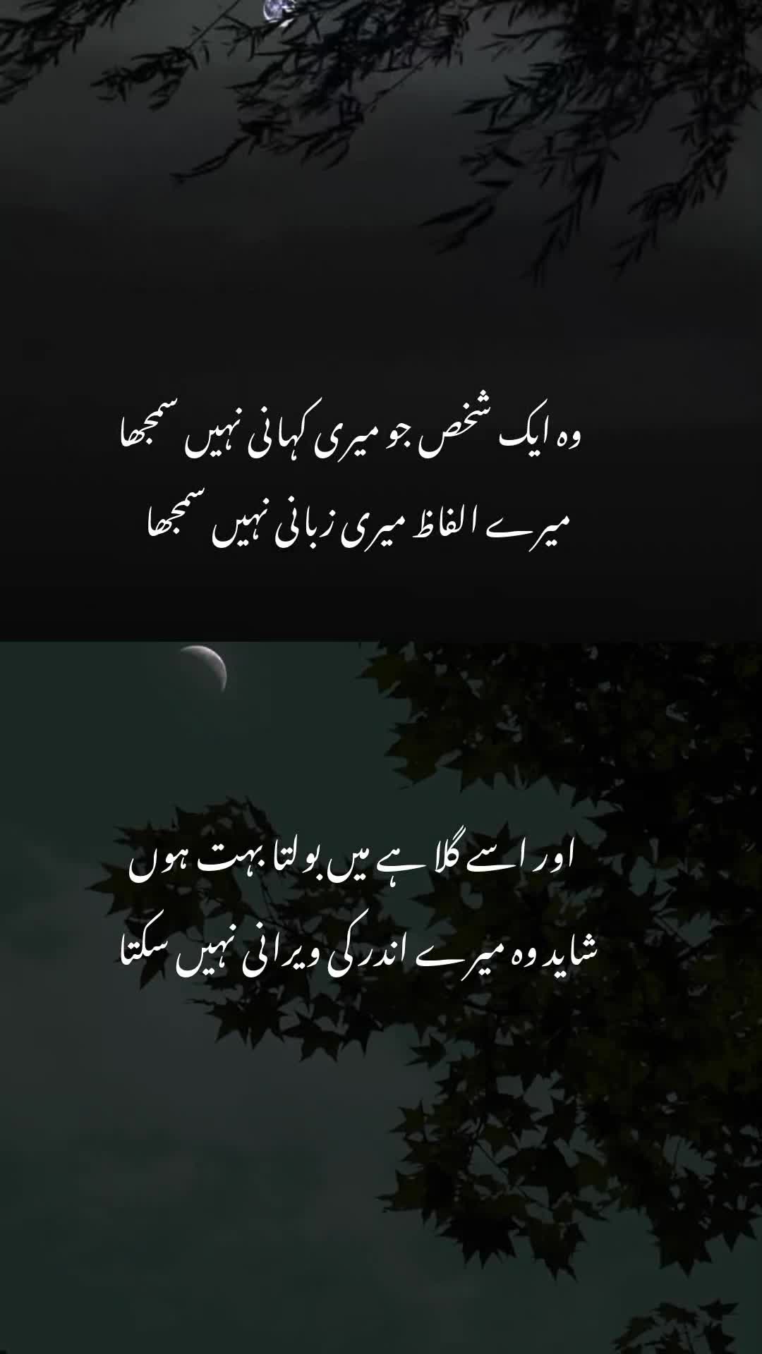 @Mughal writes
