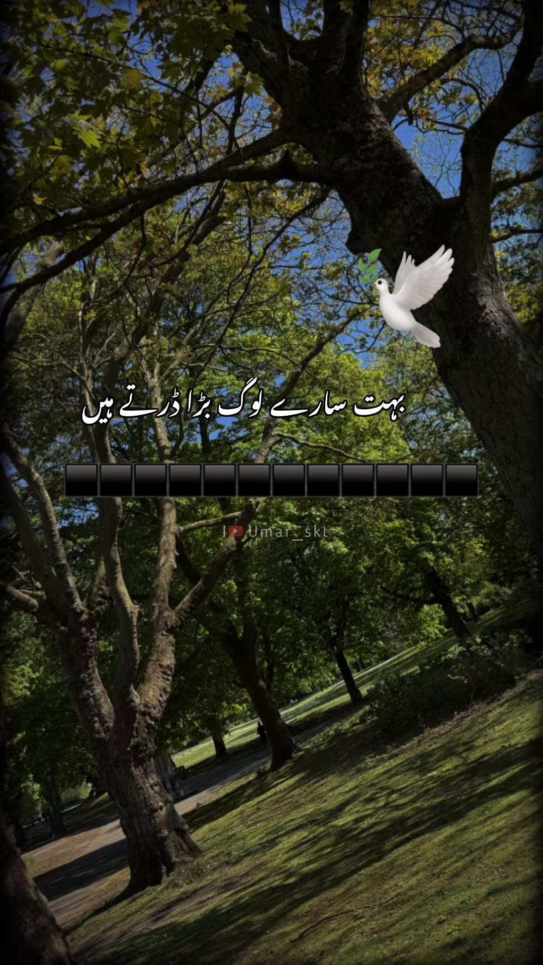 @Noor